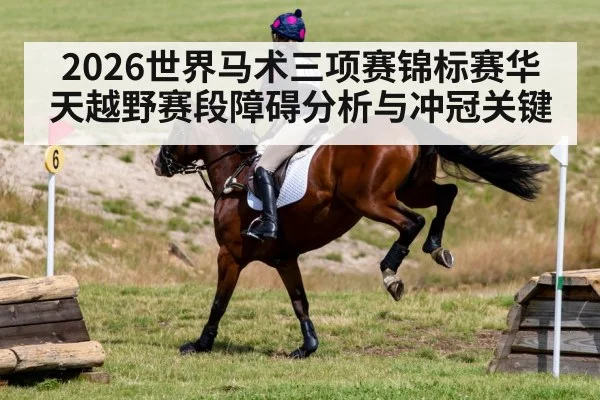 2026世界马术三项赛锦标赛华天越野赛段障碍分析与冲冠关键